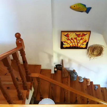 Charming House With Sea View In Nazare